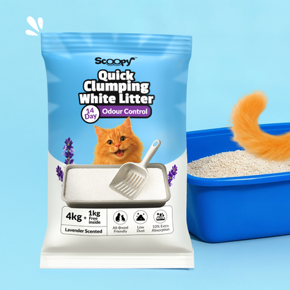 Active Real Chicken, Chicken Liver & Tuna fish Wet Food with Scoopy Bentonite Litter Combo for Cats