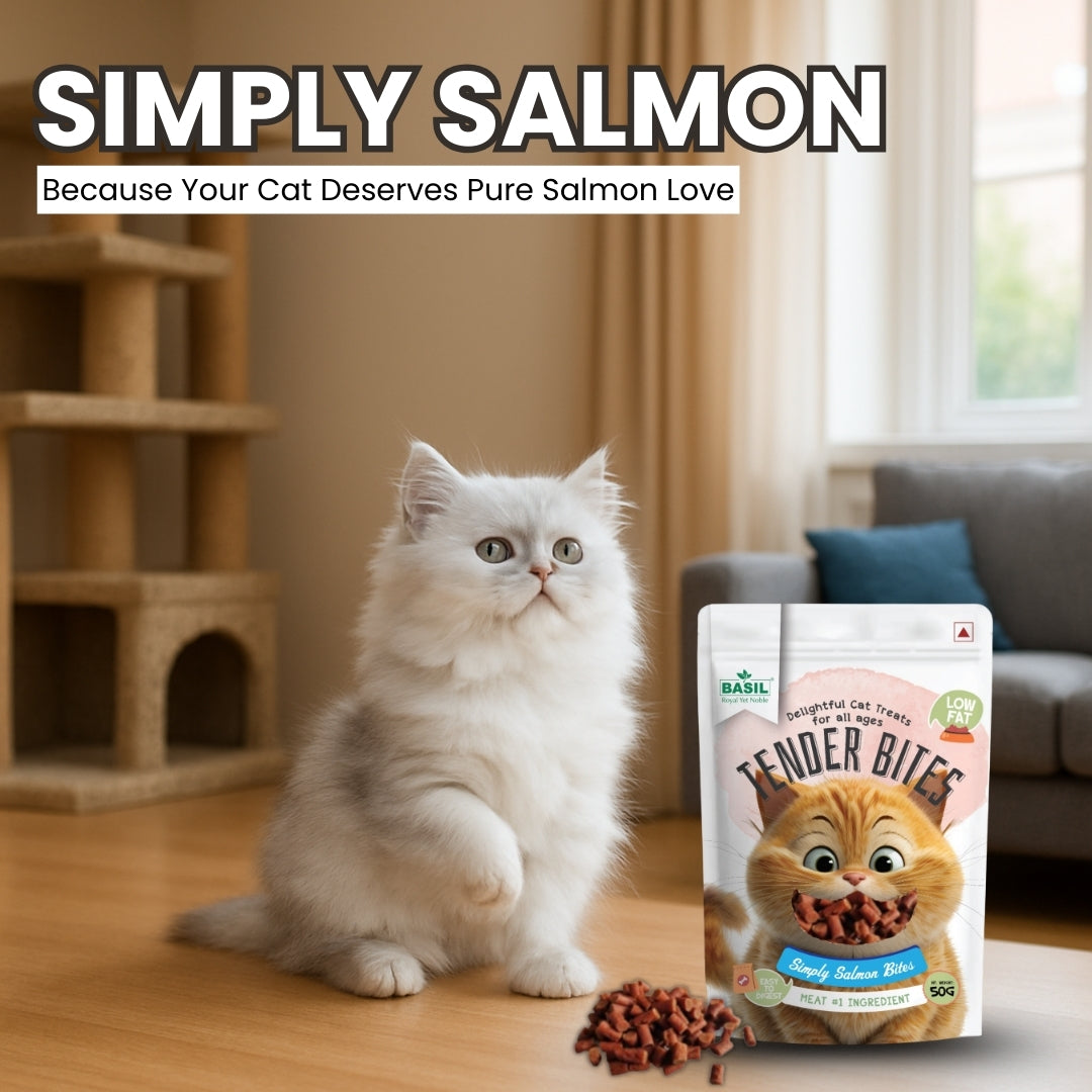 Basil Tender Bites Simply Salmon Cat Treats