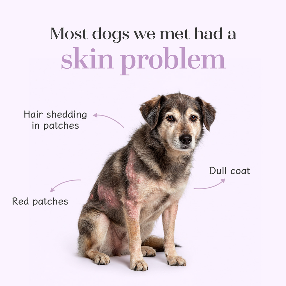 Hope Chicken Flavoured Skin+Coat Supplement for Dogs