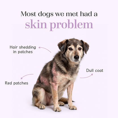 Hope Chicken Flavoured Skin+Coat Supplement for Dogs