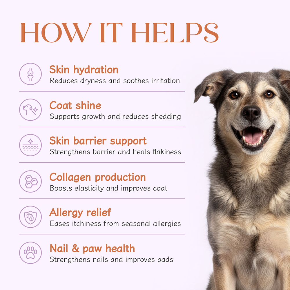 Hope Chicken Flavoured Skin+Coat Supplement for Dogs