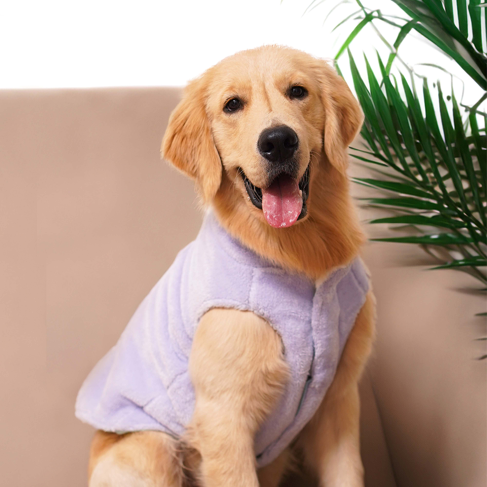 Pets Way Cozyquilt Winter Jacket for Dogs (Sky)