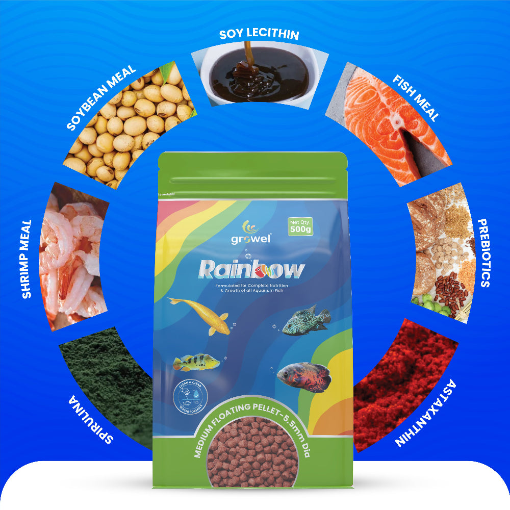 Growel Rainbow Medium 5.5mm Floating Pellet for Fish