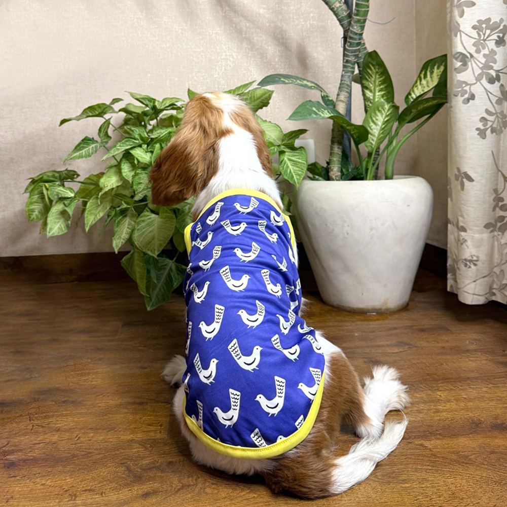 Pets Way Stay Chill Vest Combo for Dogs (Pack of 3)