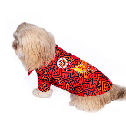 Pets Way Sunriders Hyderabad IPL Jersey for Dogs and Cats (Orange/Black)| Indian Pet League