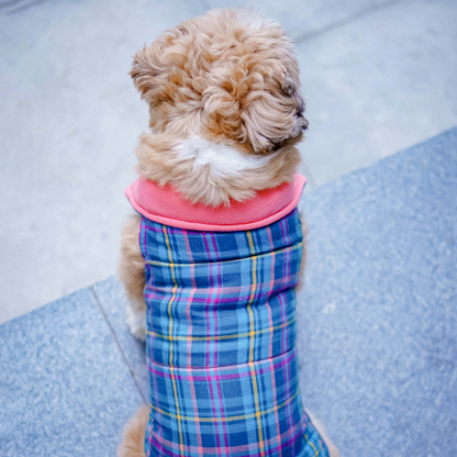 Pets Way Superstar Reversible Check Winter Jacket for Dogs (Coral)
