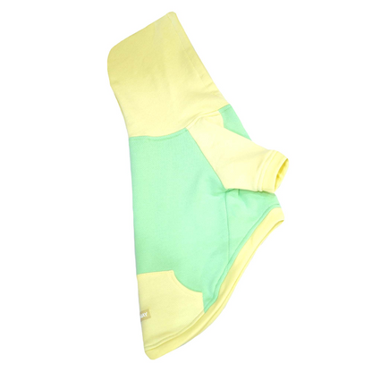Pets Way Icy Peak Winter Sweatshirt for Dogs (Mint)