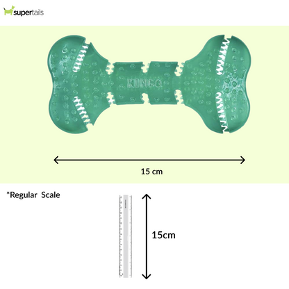 Kong Squeezz Dental Bone Toy for Dogs (Green)