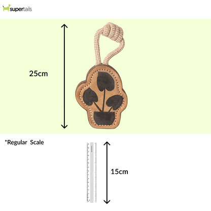 Pawpourri Plant Shaped Chew Toy for Dogs (Brown)