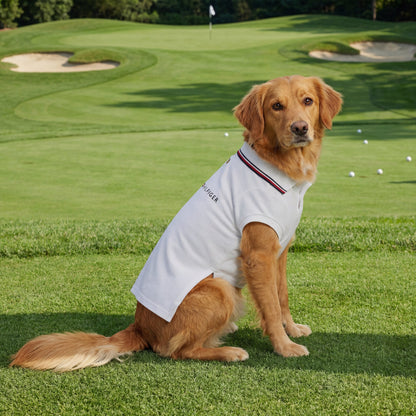 Tommy Hilfiger Heritage Polo Tshirt for Dogs (Optic White)