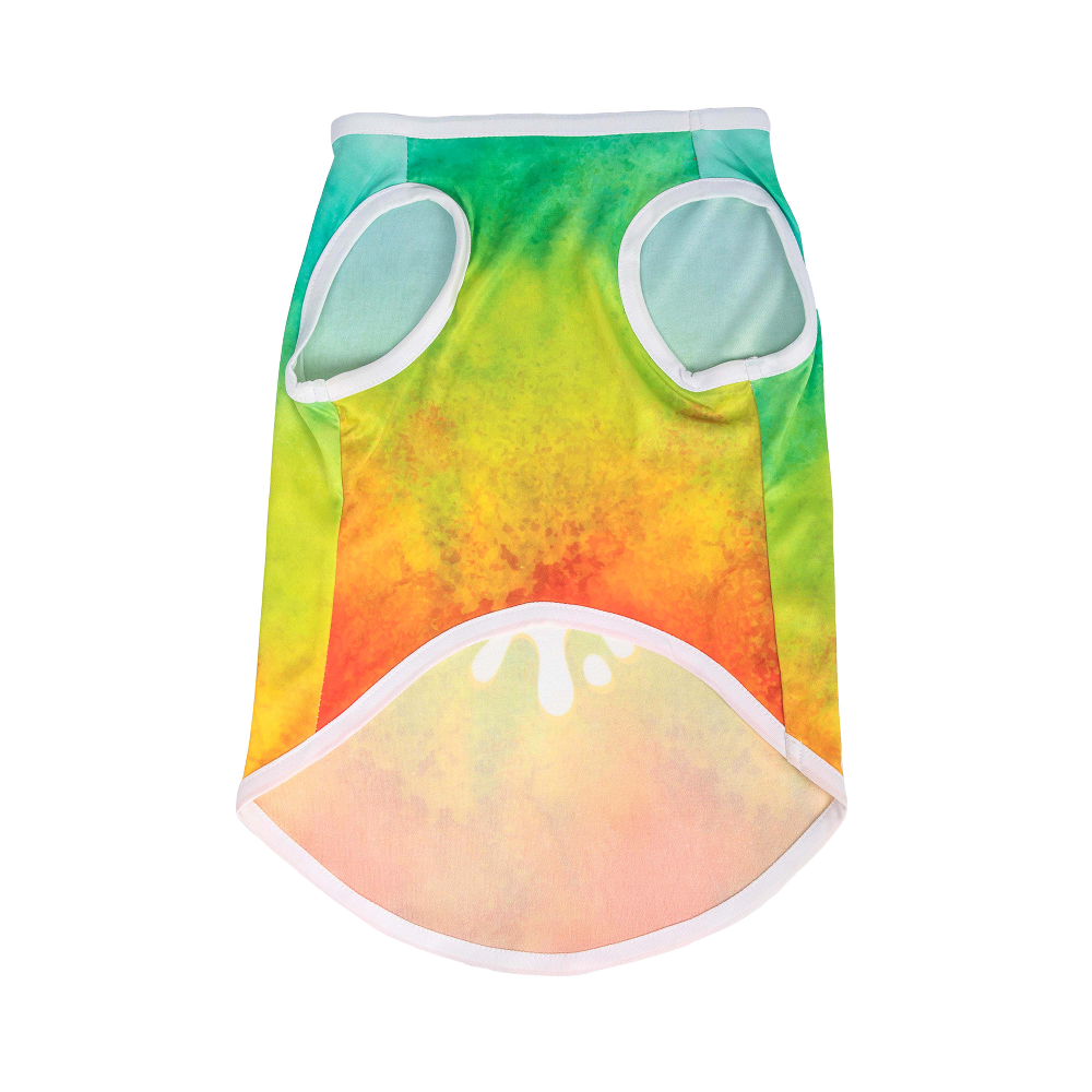Pets Way Tie & Dye Holi T shirt for Dogs