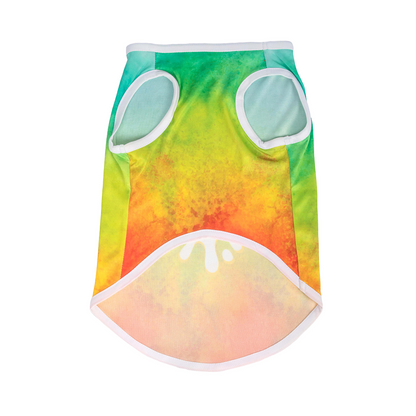 Pets Way Tie & Dye Holi T shirt for Dogs