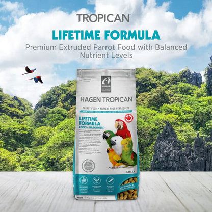Hagen Tropican Lifetime Formula Sticks Bird Food