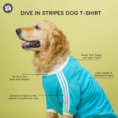 Pets Way Dive In Stripes Tshirt for Dogs (Ocean)