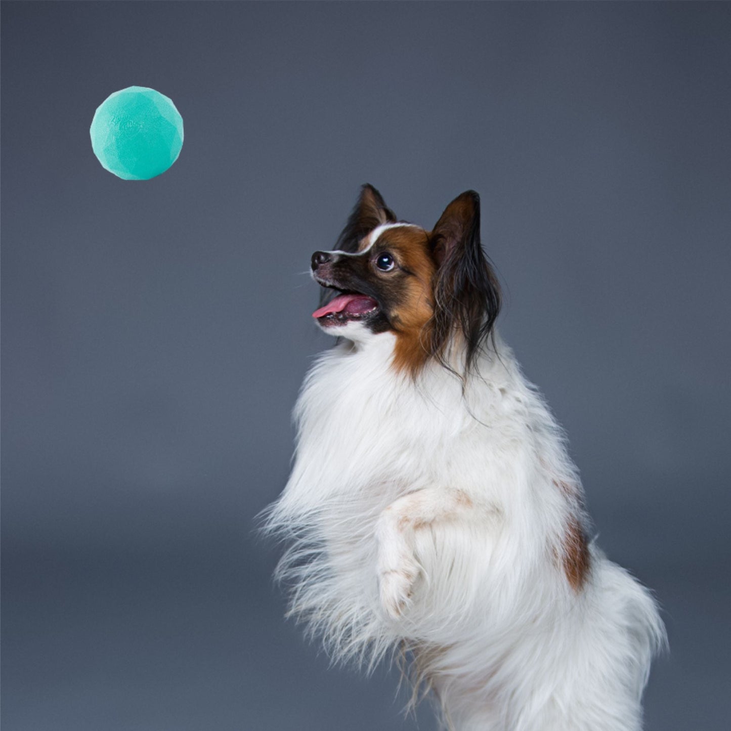 Zippy Paws ZippyTuff Waggle Ball Plush Toy for Dogs