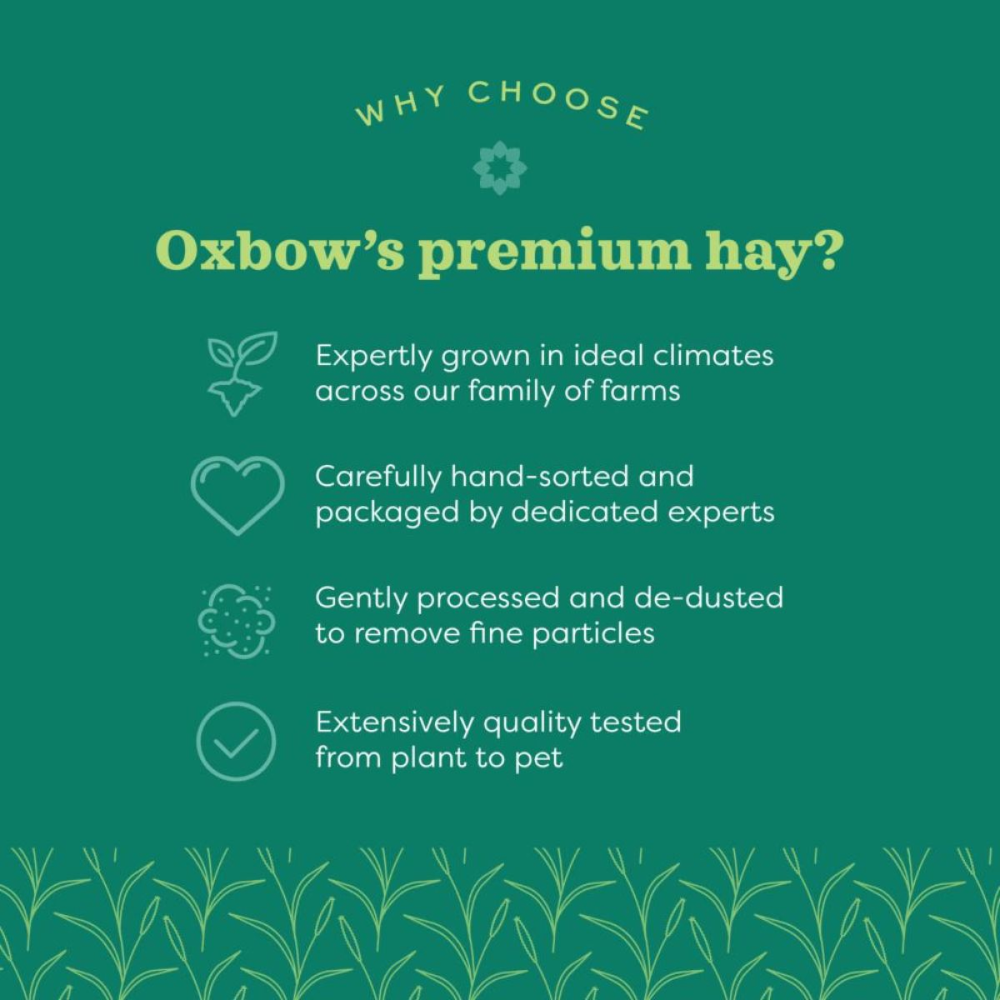 Oxbow Western Timothy Hay and Vitapol Economic Food for Rabbits and Guinea Pigs Combo