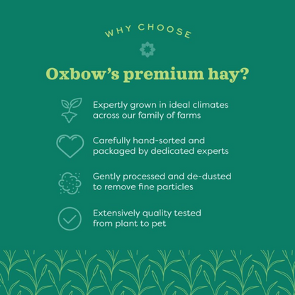 Oxbow Western Timothy Hay and Vitapol Economic Food for Rabbits and Guinea Pigs Combo