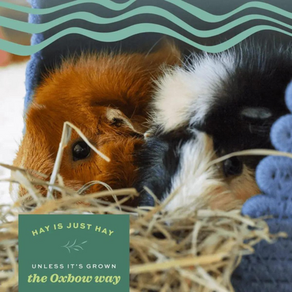 Oxbow Western Timothy Hay and Vitapol Economic Food for Rabbits and Guinea Pigs Combo