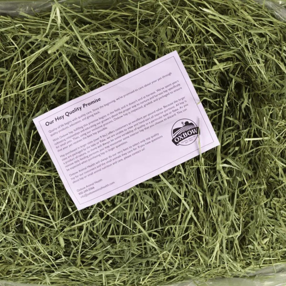 Oxbow Western Timothy Hay and Vitapol Economic Food for Rabbits and Guinea Pigs Combo