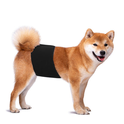 KUTKUT Diapers for Male Dogs (Black)