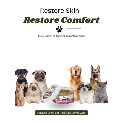 Dr. Chelsea's Neem Oil Enriched Healing Balm for Dog & Cat