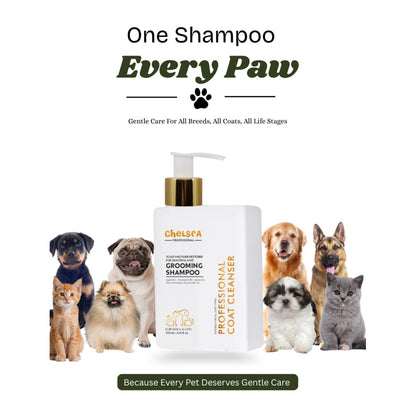 Dr. Chelsea's Professional Grooming Shampoo for Cats & Dogs