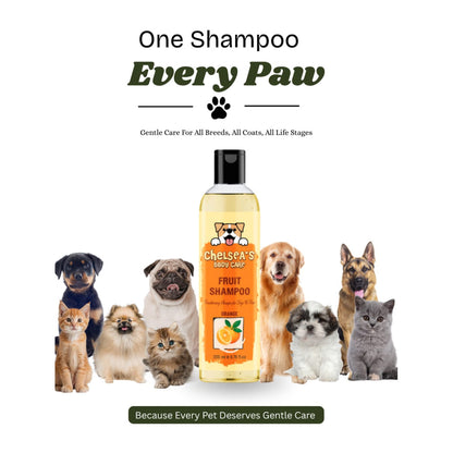 Dr. Chelsea's Orange Fruit Conditing Shampoo for Cats & Dogs