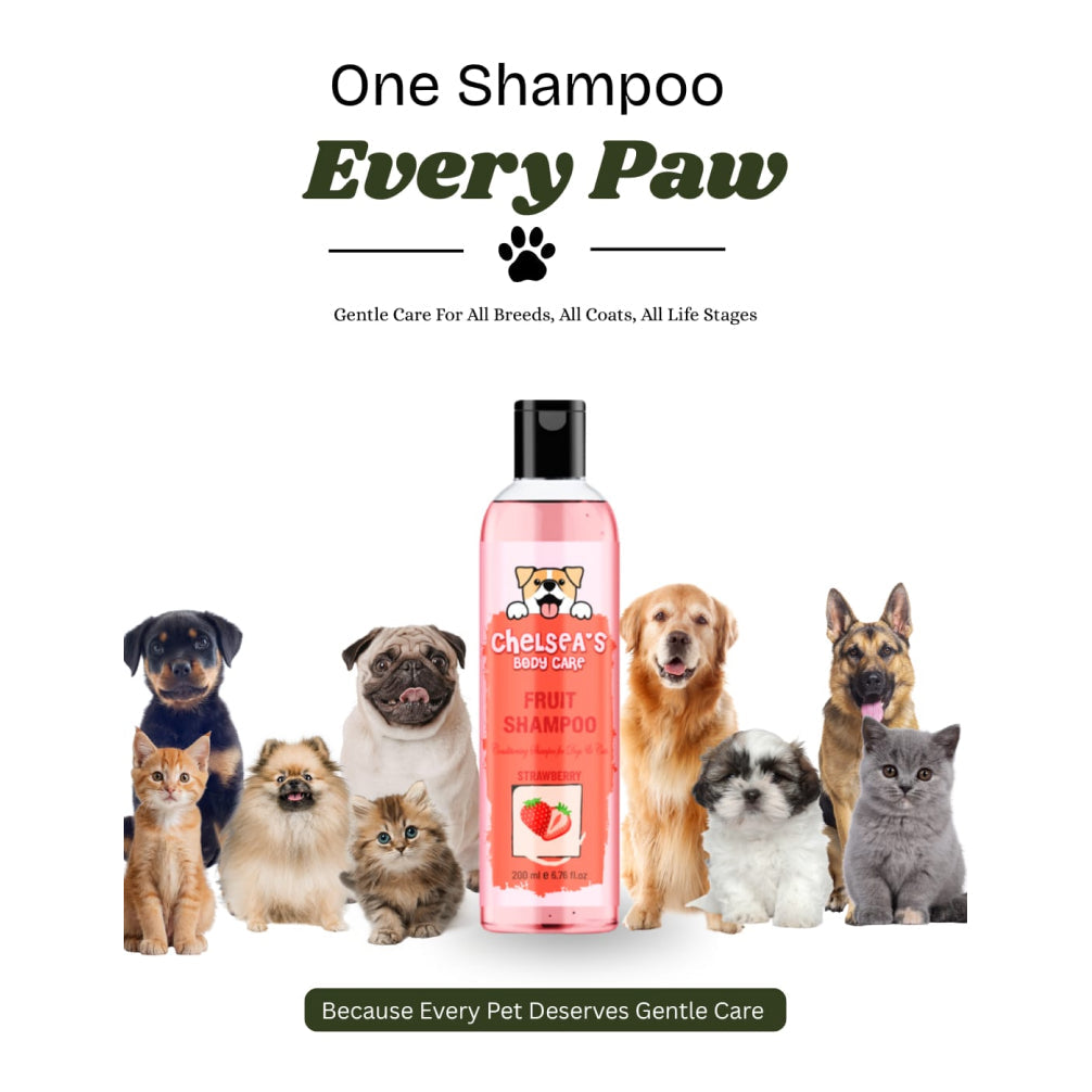 Dr. Chelsea's Strawberry Fruit Conditing Shampoo for Cats & Dogs