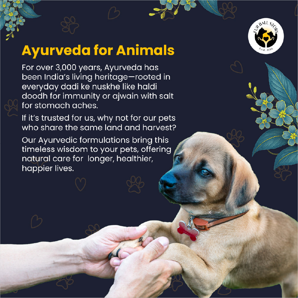 FurBall Story Worm No More Deworming Tablet for Dogs and Cats
