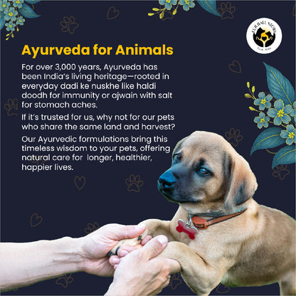 FurBall Story Worm No More Deworming Tablet for Dogs and Cats