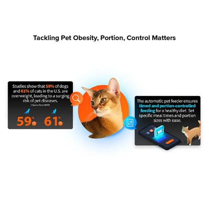 Whiskas Ocean Fish Kitten/Mother and Baby Dry Food & Petkit YumShare Solo Automatic Food Dispenser Combo for Kitten