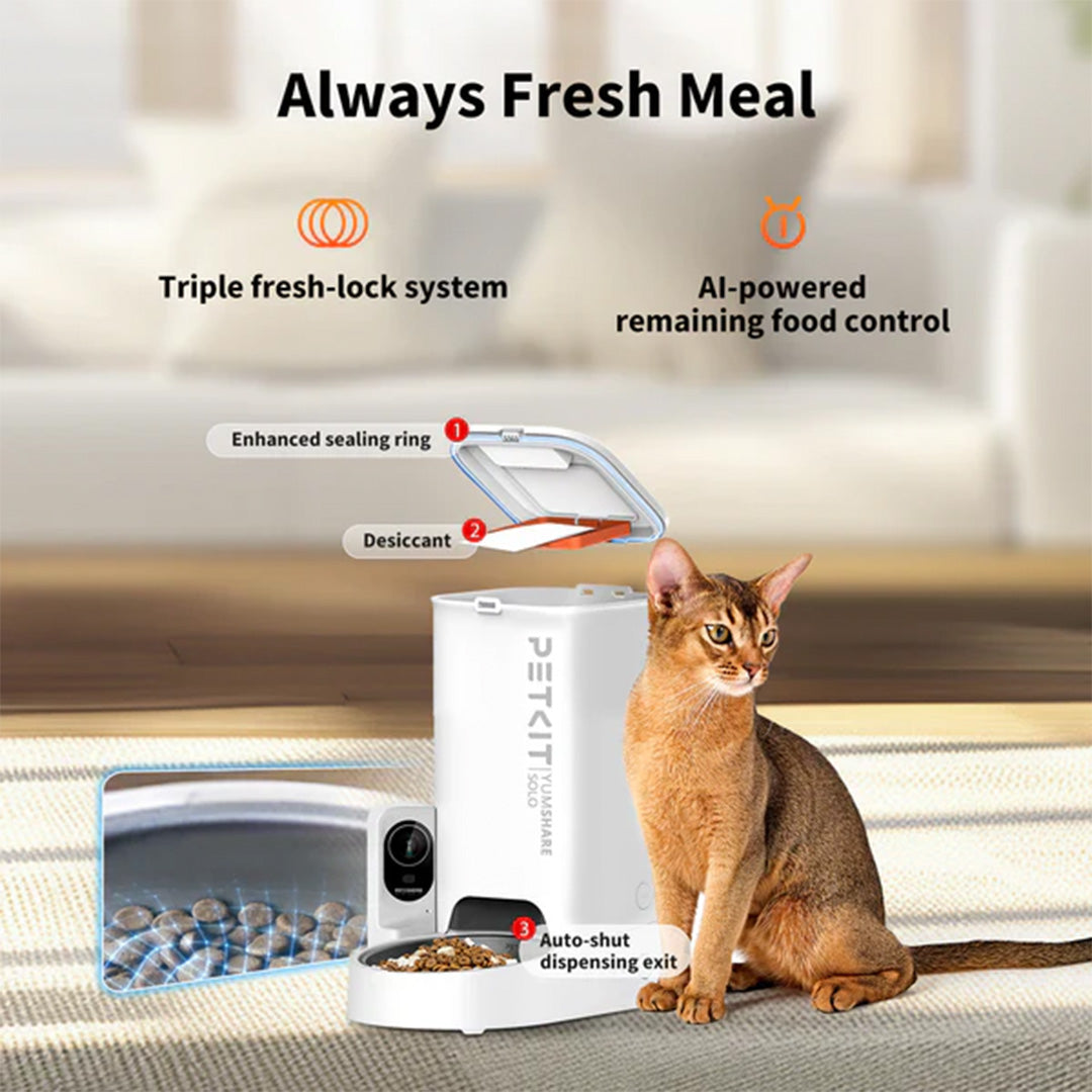 Whiskas Ocean Fish Kitten/Mother and Baby Dry Food & Petkit YumShare Solo Automatic Food Dispenser Combo for Kitten
