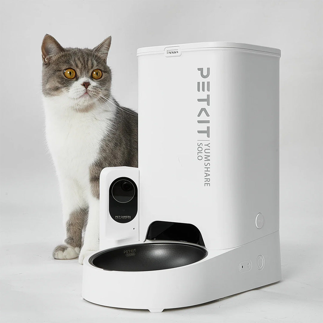 Whiskas Ocean Fish Kitten/Mother and Baby Dry Food & Petkit YumShare Solo Automatic Food Dispenser Combo for Kitten