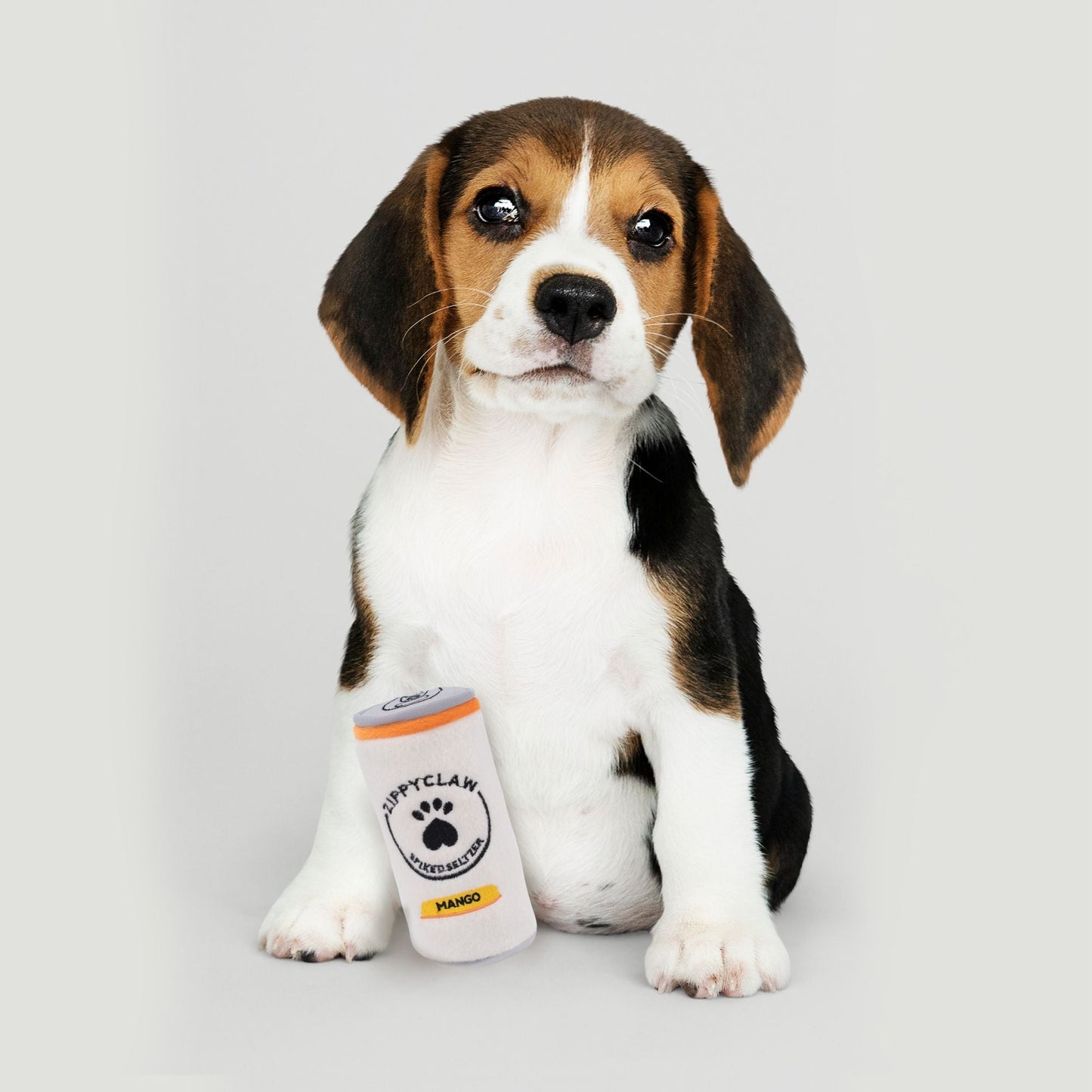 Zippy Paws Squeakie Can Zippy Claw Plush Toy for Dogs