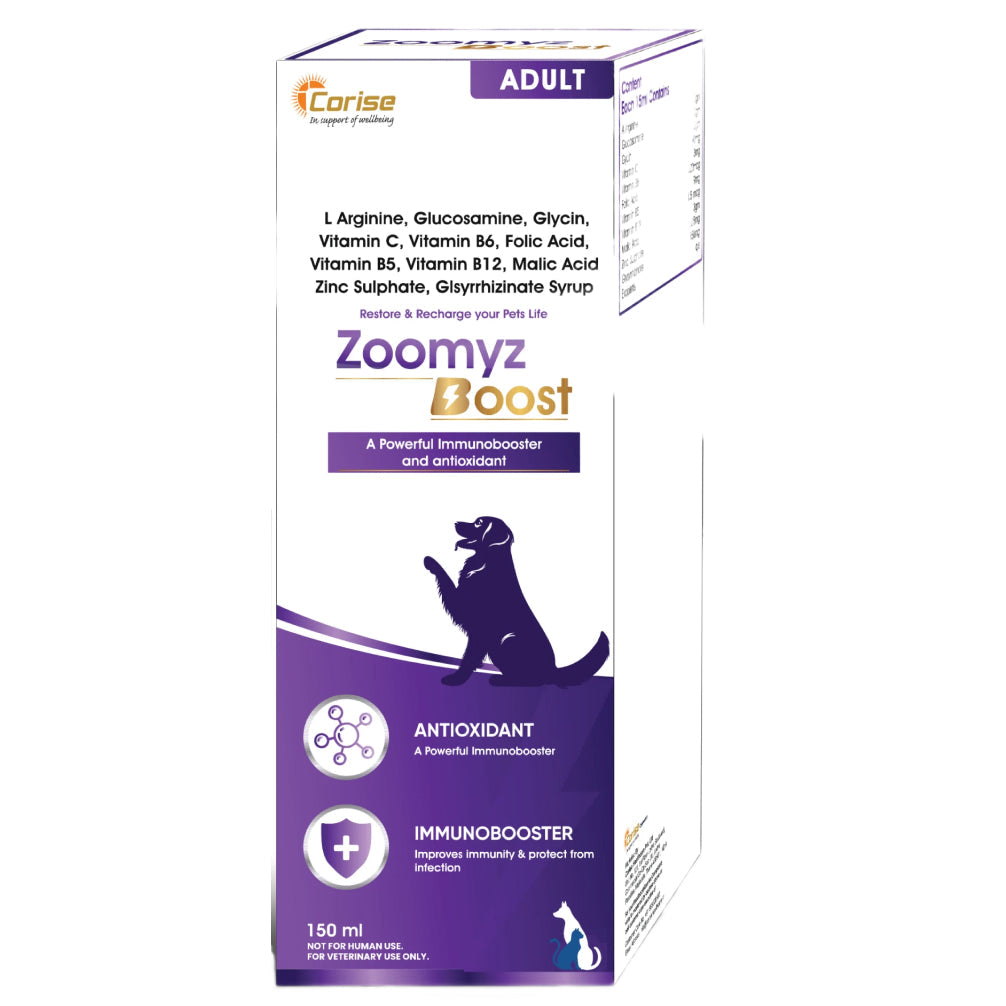 Corise Zoomyz Boost Syrup Dogs and Cats