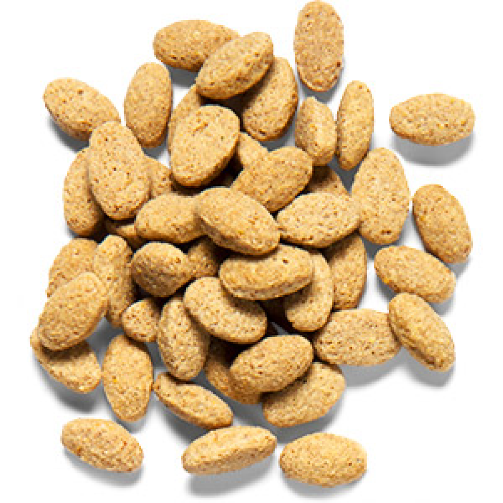 ZuPreem Natural Avian Pellet Diet Medium & Large Bird Food