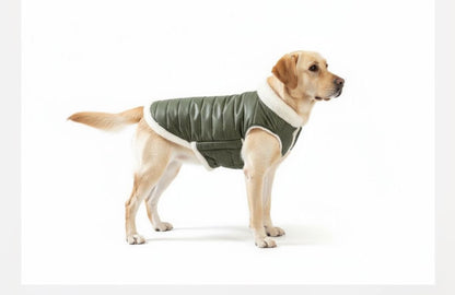 Woofiezz Warm & Comfortable Winter Jackets for Dogs and Cats (Olive Green)