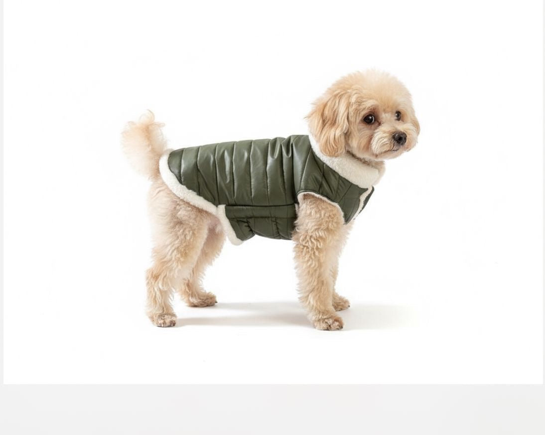 Woofiezz Warm & Comfortable Winter Jackets for Dogs and Cats (Olive Green)