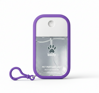 Bscly Fresh Mint Perfume Mist Portable Grooming Spray with Travel Silicone Case and Keychain