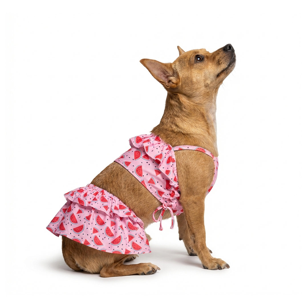 Pet Bigginis For Dogs (Pink/Red)