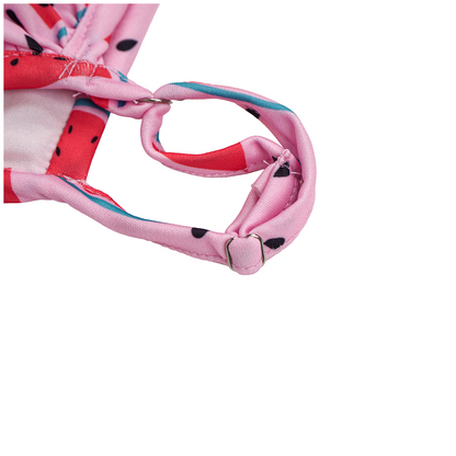 Pet Bigginis For Dogs (Pink/Red)