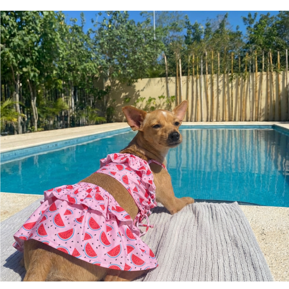 Pet Bigginis For Dogs (Pink/Red)