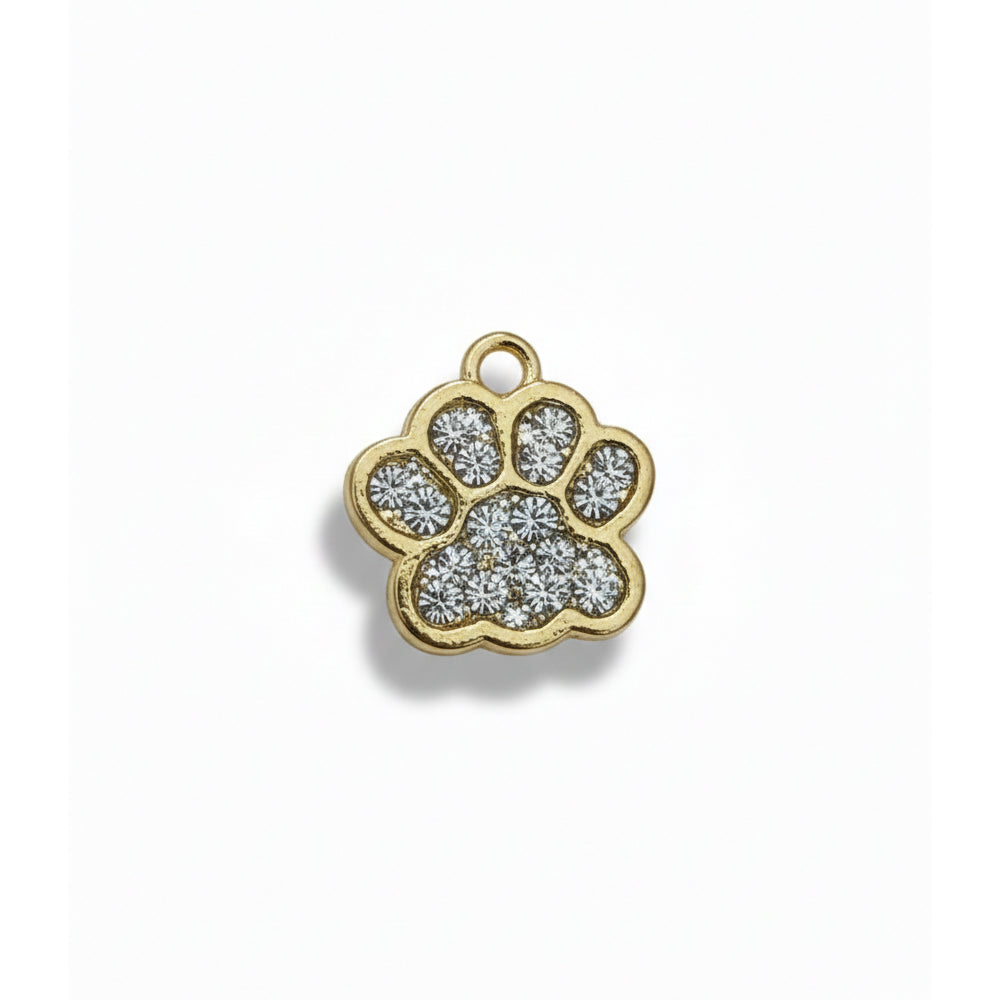 Skatrs Charms for Cats & Dogs (1pcs Assorted)