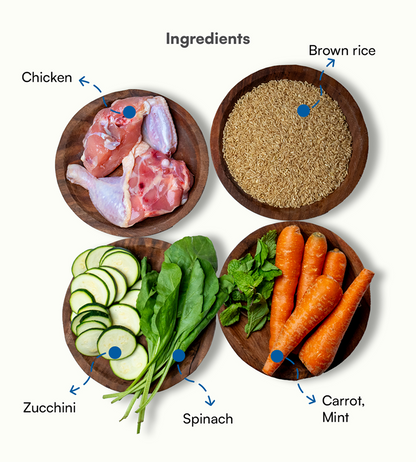 Pawfectly Made By Licious Chicken Brown Rice & Veggies Home Meal for Dogs