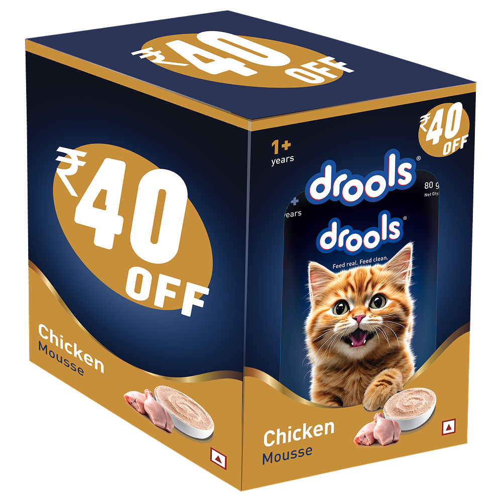 Drools Chicken Mousse Adult Cat Wet Food