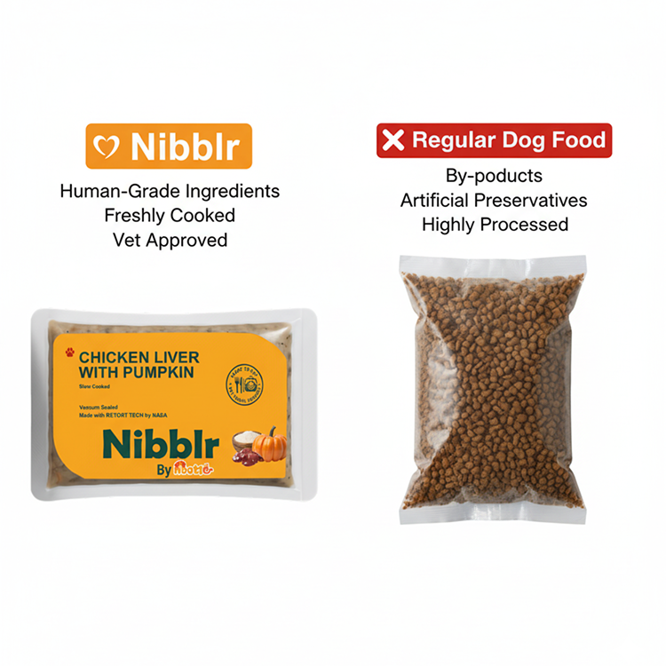 Nibblr By Nootie Wholesome Chicken Liver with Pumpkin Ready to Eat Meal Dog Wet Food