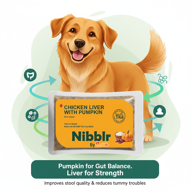 Nibblr By Nootie Wholesome Chicken Liver with Pumpkin Ready to Eat Meal Dog Wet Food
