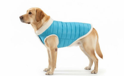 Woofiezz Warm & Comfortable Winter Jackets for Dogs and Cats (Turquoise)