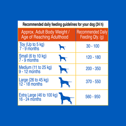 Waggies Chicken with Vitamins All Breed Adult Dog Dry Food
