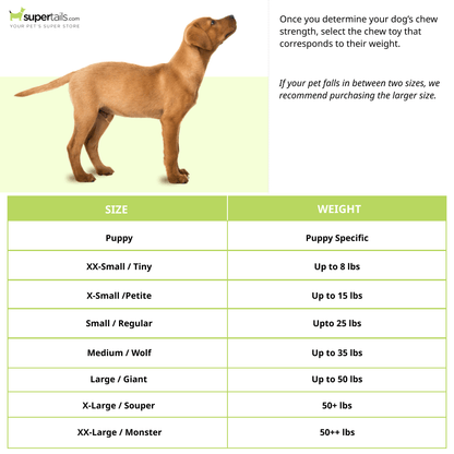 Nylabone Medley Flavoured Textured Power Chew Bone Toy for Dogs (Brown)
